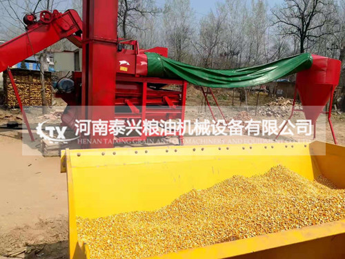 大型凈糧玉米脫粒機(jī)
